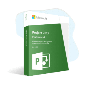 Project 2013 Professional