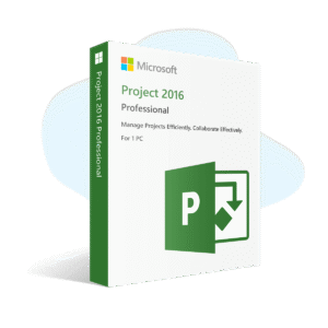 Project 2016 Professional